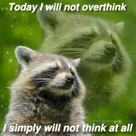 “Nocturnal Trash Posts”: 30 Of The Best Raccoon Memes This Dedicated ...