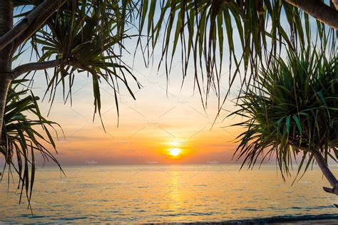 Sunset at tropical beach with palms featuring sunset, palm, and beach ...