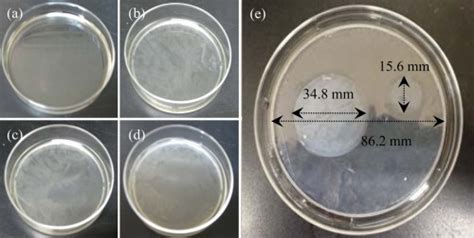 Production of the bacterial cellulose pellicle. Acetobacter xylinum was... | Download Scientific ...