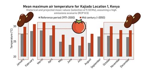 Real time climate information in Africa | Euronews