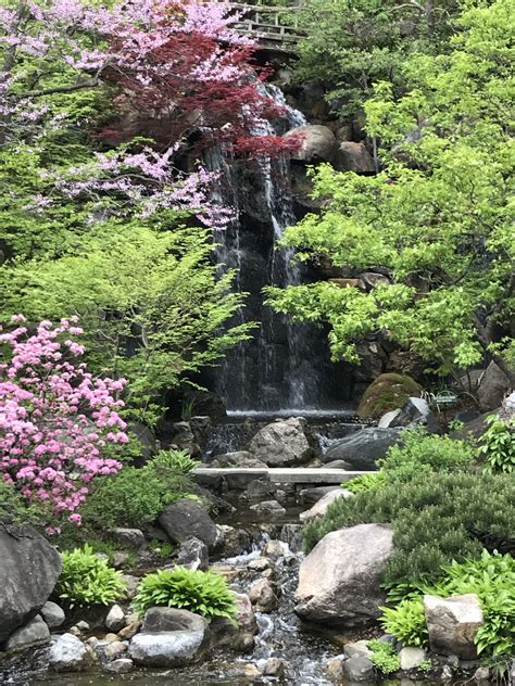 Anderson Japanese Gardens - May 11, 2018