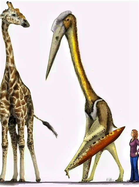 Quetzalcoatlus northropi is an azhdarchid pterosaur known from the Late Cretaceous of North ...