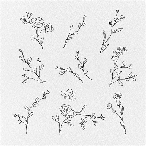 Free Floral Lines Cliparts | Gogivo | Hand drawn flowers, Line art design, Floral