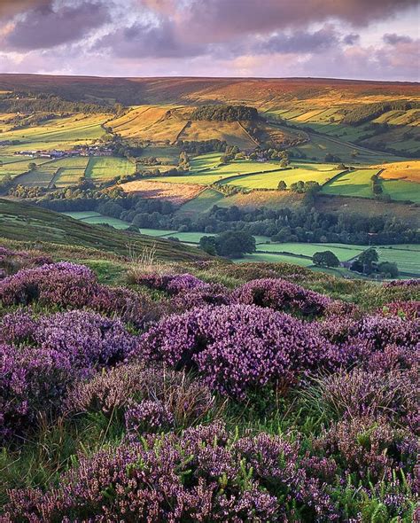 Landscape - Yorkshire, England