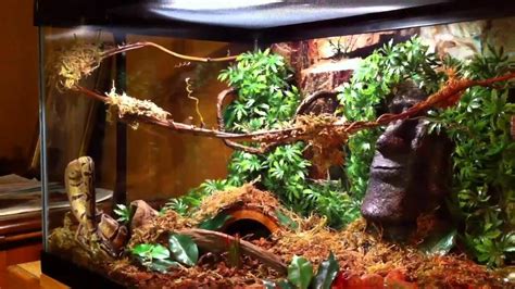 Best Ball Python Habitat Tank, size, length, setup, Decor & reviews