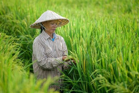 Premium Photo | A farmer wearing a vietnamese hat