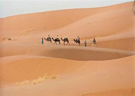 The sahel desert | Flickr - Photo Sharing!