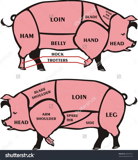 Pig Cuts Of Meat Diagram - General Wiring Diagram