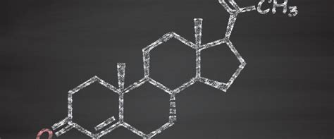 The Long-Term Effects of Hormone Replacement Therapy