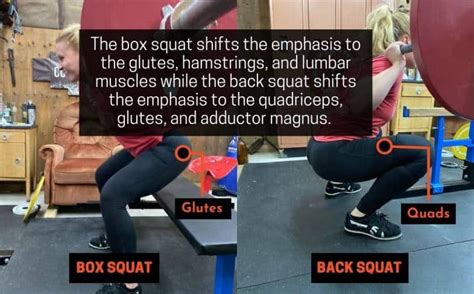 Box Squat vs Back Squat: Differences, Pros, Cons | PowerliftingTechnique.com