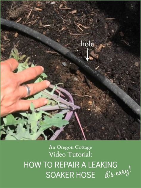 Video Tutorial: How To Repair a Garden Soaker Hose - An Oregon Cottage