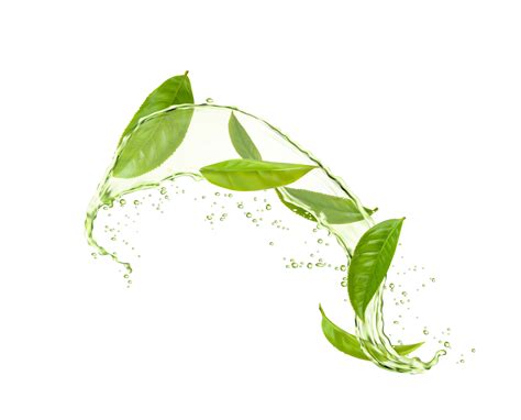 Herbal drink wave splash, green tea leaves, water 20402551 Vector Art ...