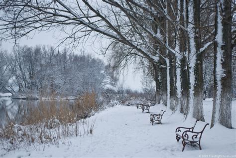 Winter Scene – FREEBigPictures.com