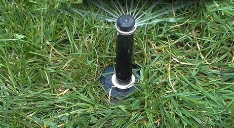 pop-up-sprinkler-heads | #1. Gardening Blogs 2021|Poulan Leaf Blower|Best Cantilever Umbrella