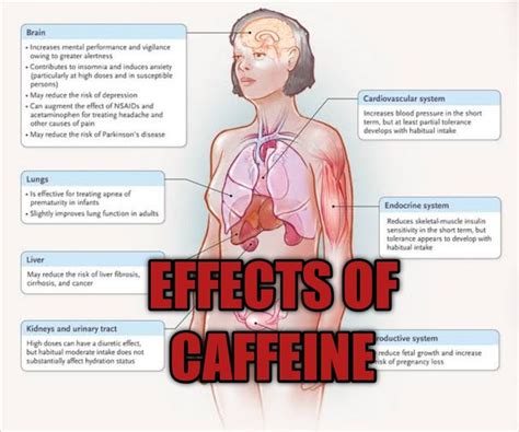 Effects of caffeine on brand | Urge incontinence, Nsaids, Caffeine ...