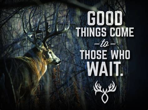 Good Luck Deer Hunting Quotes. QuotesGram