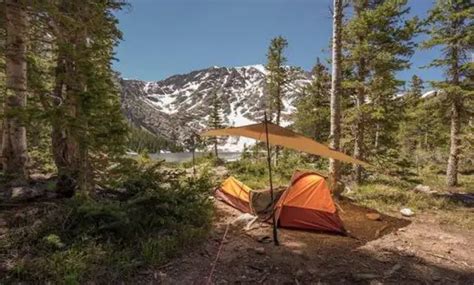 Tarp/Bivvy vs Tent Camping- Which Shelter is Best for You - Recapture ...