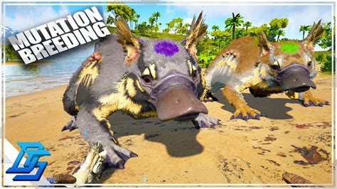 BREEDING FOR MUTATIONS, MAKING THE BEST MAEWING! - Ark Survival Evolved Gameplay (2022) - Part ...