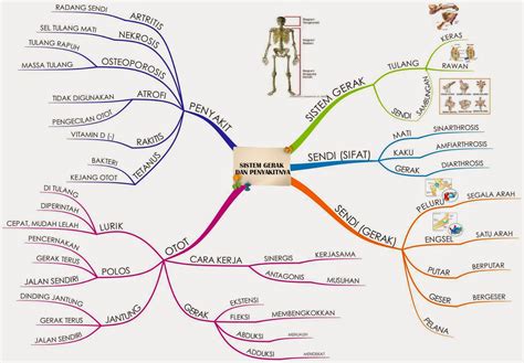 MIND MAP - METODE TERMUDAH UNTUK APAPUN