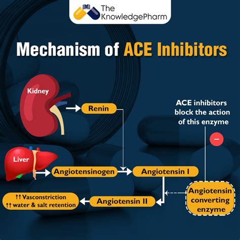 Mechanism of ACE Inhibitors | Nursing student tips, Enzyme inhibitor ...