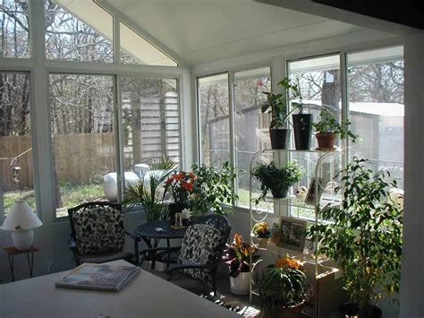 SunRoom Plants Sunroom plants indoor plant pot contemporary - Oxilo