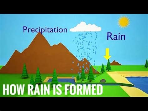 how rain is formed - water cycle Animation - YouTube