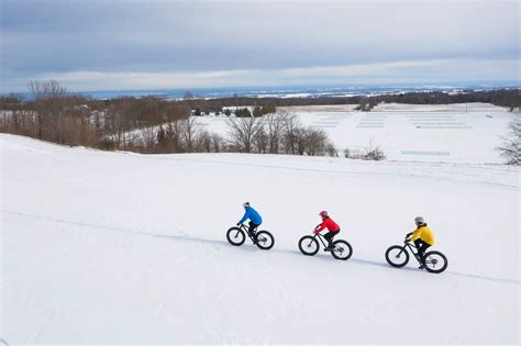 Winter Activities in Ontario | 15 Fun Things to Do in the Snow - Road Trip Ontario