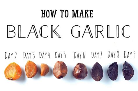 How to make Black Garlic at home! Garlic Recipes, Vegan Recipes ...