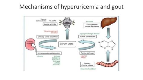 Febuxostat vs Allopurinol.