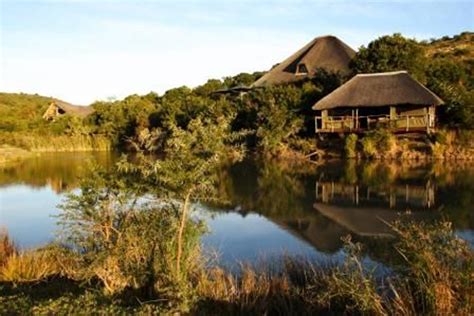 Shamwari: Description | Cape Insights