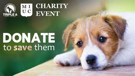 MIUC Hosts Triple A Animal Shelter Charity Event - Marbella ...