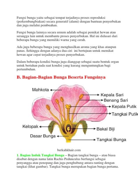 54+ Fungsi Bagian Bunga Kamboja