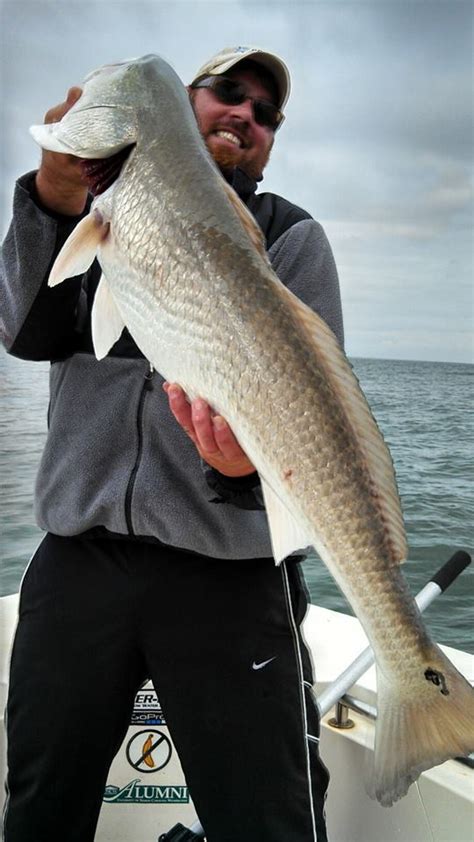 Fishing Charters NC | North Carolina Fishing Charters by ProFishNC