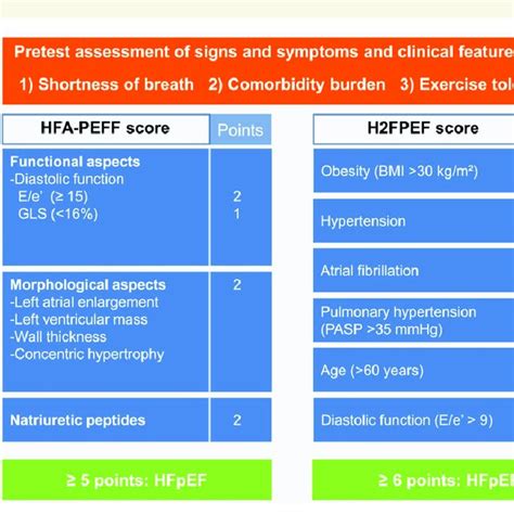 Diagnostic HFpEF scoring algorithms used to score HFpEF animal models.... | Download Scientific ...