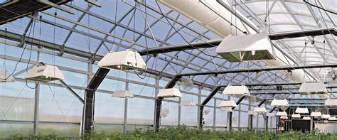 Greenhouse Lighting Systems Customized by GrowSpan