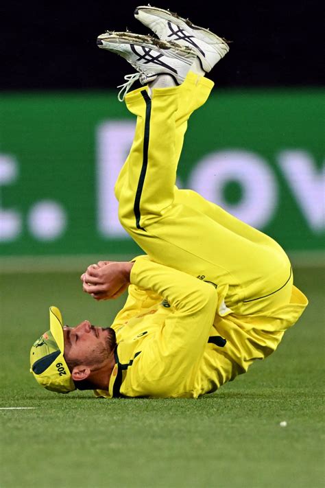 Marcus Stoinis takes a tumble as he holds on to a catch to dismiss Jos ...