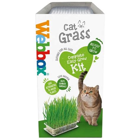 Webbox Cat Grass Growing Kit 120g - 1Buy UK - Online Shop