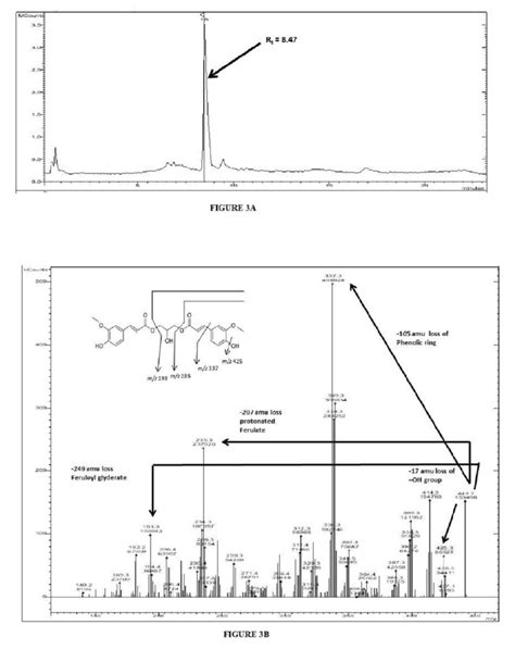 -(A): HPLC analysis of PTLC eluate; (B): MS 2 analysis and... | Download Scientific Diagram