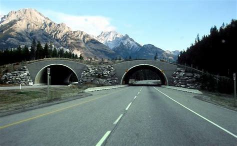 Trans-Canada Highway | Map & Construction | Britannica