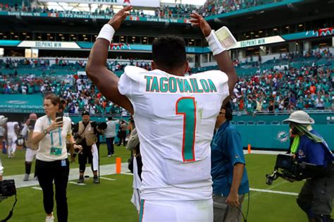 Miami Dolphins QB Has Strong Words For Bills Mafia