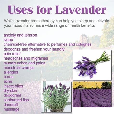 Uses For Lavender | Country & Victorian Times