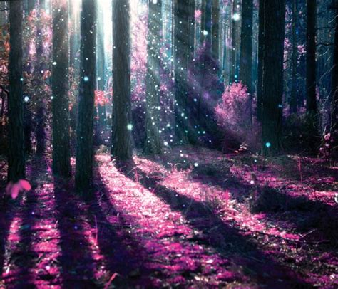 Enchanted Forest Wall Mural Purple Tree Photo Wallpaper Girls Bedroom ...