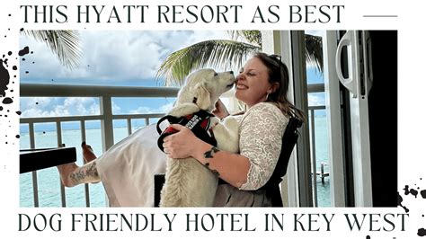 Hyatt Resort As Best Of all Pet Friendly Hotels In Key West