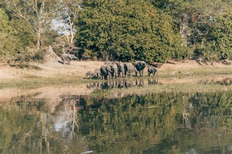 Discover the Awesome Liwonde National Park of Malawi