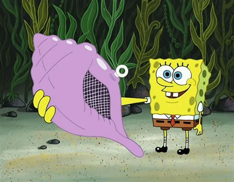 An In-Depth SpongeBob Magic Conch Shell Guide - The Sponge Bob Club