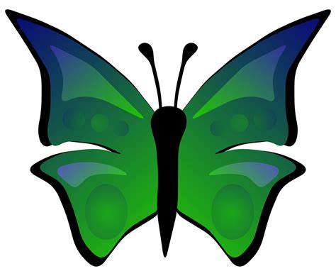 Butterfly Clipart