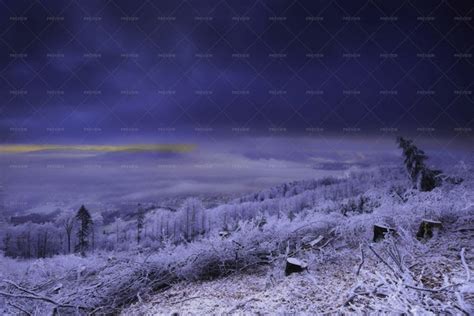 Forest Landscape At Winter - Stock Photos | Motion Array