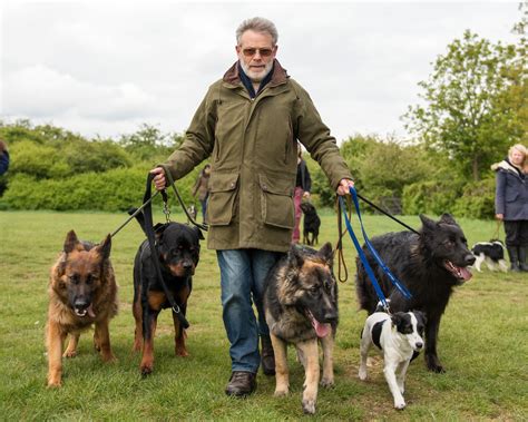 Pack-Leader-Walk-3 - UK Dog Whisperer