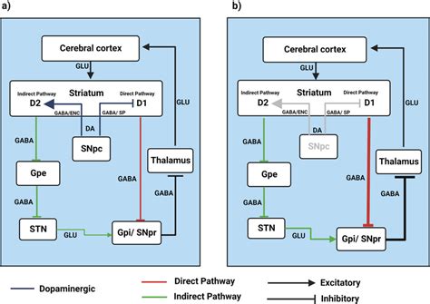 Basal Ganglia, Motor Circuit. a Healthy condition: the direct pathway ...