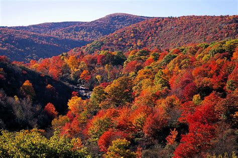 Brilliant Autumn Colors Paint Great Smoky Mountains of Gatlinburg